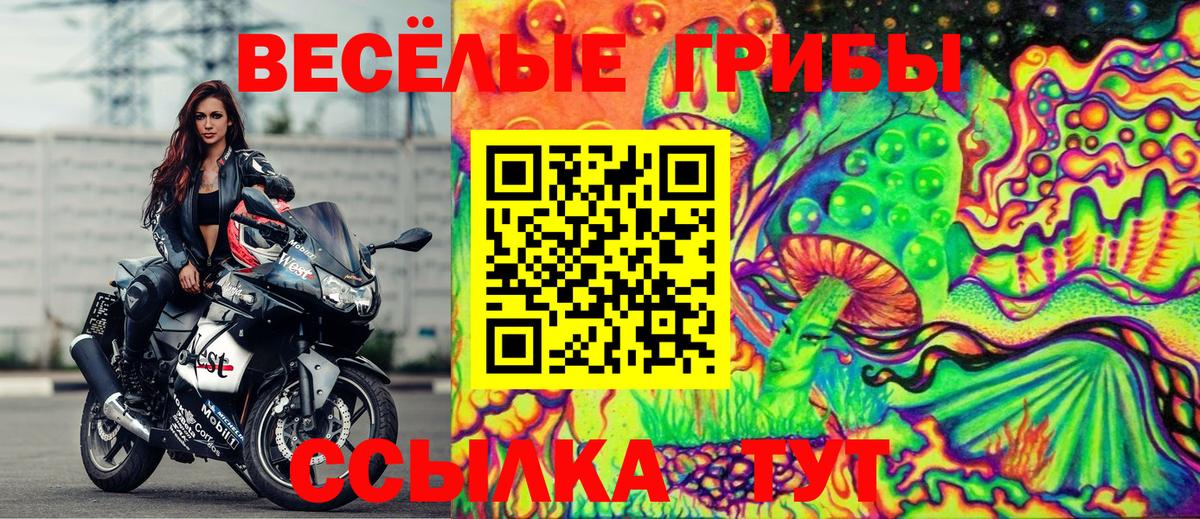 Псилоцибиновые грибы прущие грибы  Лиски  Галлюциногенные грибы Magic Shrooms 