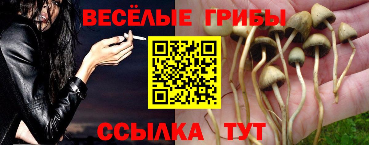 Псилоцибиновые грибы ЛСД Лиски