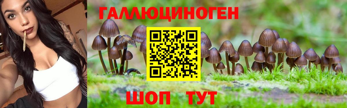 Псилоцибиновые грибы MAGIC MUSHROOMS Лиски